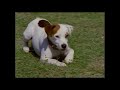 Wishbone The Prince And The Pooh