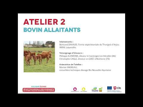 , title : 'Bovin allaitants - Atelier 2 du colloque Sélection animale des ruminants'