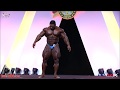 Roelly
