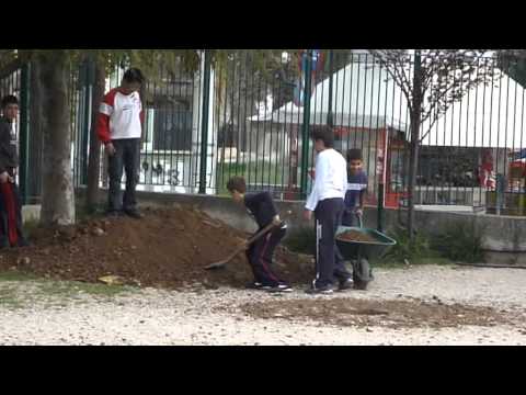 Για ένα σχολείο αειφόρο...