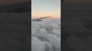 lên thiên đình uống rượu