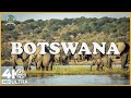 Wonders Of Botswana The Most Amazing Places In Botswana Travel Video 4K
