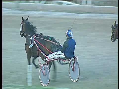 Trotto 10/11/2017 - 4ª corsa