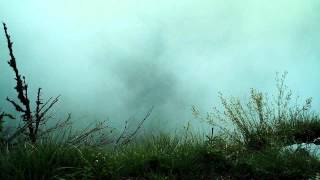 Shape Of Despair - Night's Dew