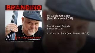 If I Could Go Back (feat. Emcee N.I.C.E)