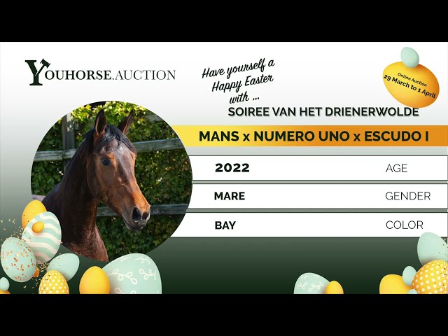 Soiree van het Drienerwolde