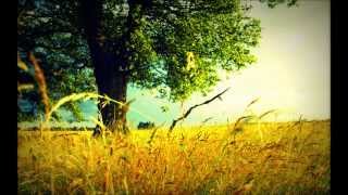 Faul &amp; Wad Ad vs. Pnau - Changes (Lyrics on Screen) [HD]