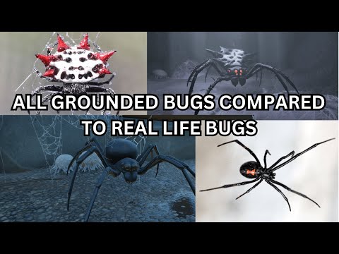 ALL GROUNDED BUGS COMPARED TO REAL LIFE BUGS! (1.0)