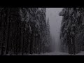 Burzum - Illa Tidandi【﻿Ｄｏｏｍｅｒ】