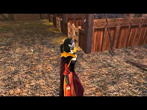 Let's Play Neverwinter Nights 149 Lerner