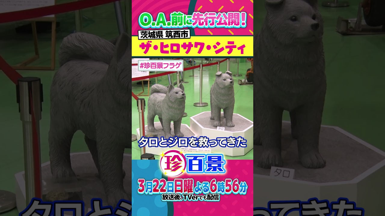 珍百景「ザ・ヒロサワ・シティ」