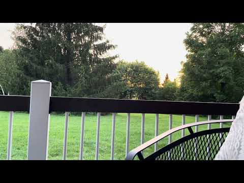 Why strive for truth?