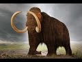 My Alter Ego Is a Wooly Mammoth - February 7 ...
