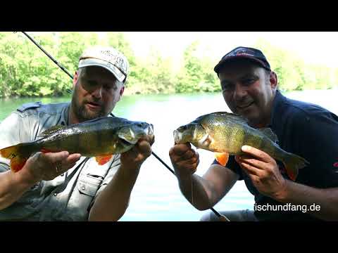 Matze Koch: Fishing for Perch with Goby - Matze's Antics 06-2018