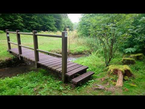 Wanderung Oberthal 27.07.2019