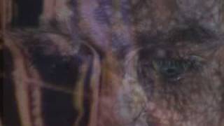 THE CHAMELEONS - DON&#39;T FALL