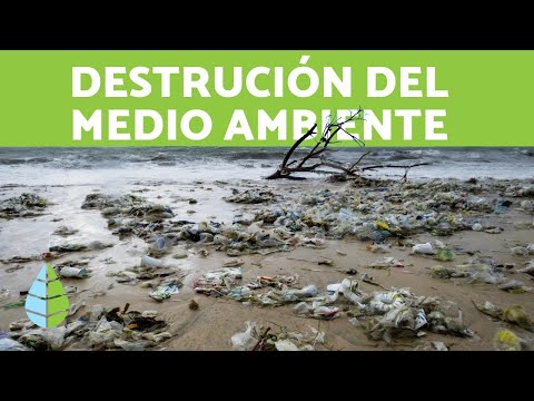 Destrucción del Medio Ambiente y el Hábitat: Causas y Consecuencias