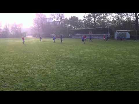 Pancratius F3 - sc Buitenveldert F2