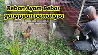 Download lagu [ Episod 85 ] Projek mini reban Ayam anti serangan pemangsa mp3