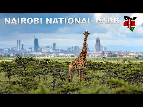 Nairobi National Park