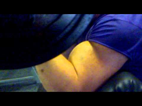 ANDER Z KOSIC BULCEK