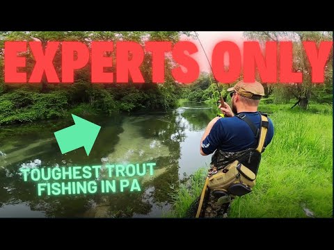 Fly Fishing the TOUGHEST Trout in PA – Letort Spring Creek Brown Trout Tactics & Museum Tour