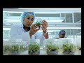 ACM Corporate Video