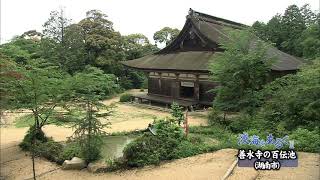 淡海をあるく　善水寺の百伝池　近江八幡市