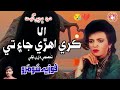 Ala Kare Ahri Jaye Tay Fozia Soomro Judai Song