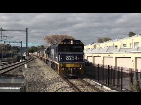 8254 leads 6MP5 though Goodwood