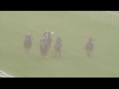 UAE Embassy in London International Stakes - Newbury 29th July Race 2