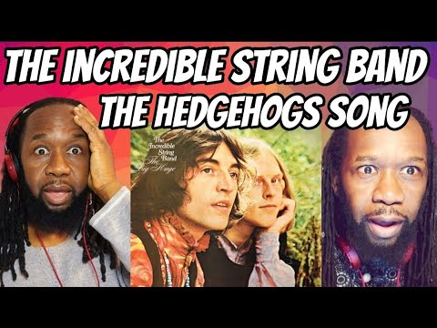 THE INCREDIBLE STRING BAND - The Hedgehog's song REACTION - Wow! Never heard nothing like it!