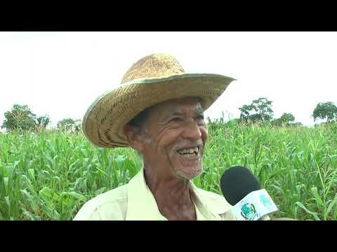 Secretaria de Desenvolvimento Rural oferece suporte técnico a 350 produtores de Barra do Garças
