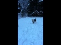 IMG 4084