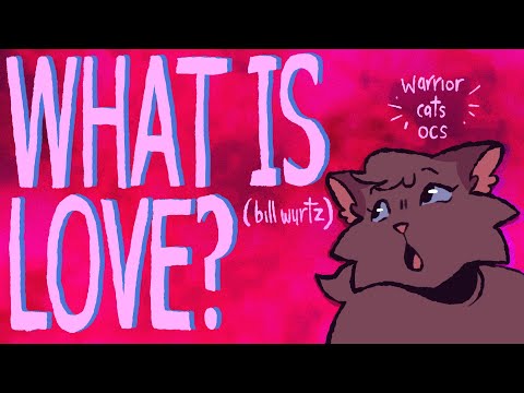 What is love? (Warriors OCs)
