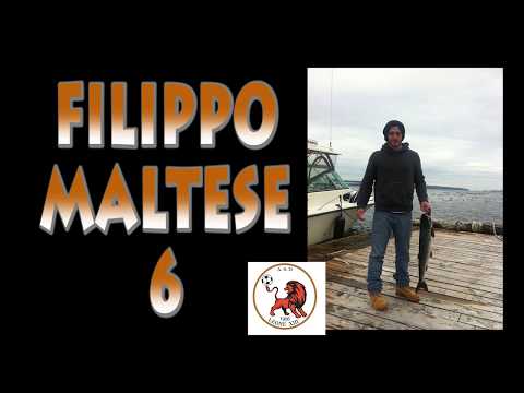 Highlights Leone XIII - Baranzatese - Giornata 10