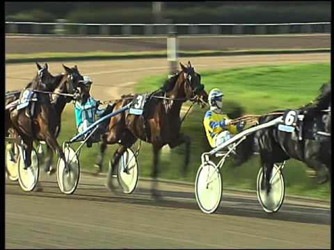 Trotto 26/02/2016 - 4° corsa