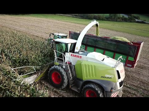 Maishäckseln 2020 im Sauerland | Claas | Fendt | MF