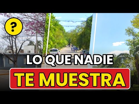 Lo que NADIE te muestra de San Francisco, Córdoba (Sin IA)