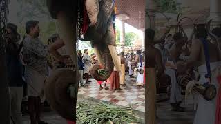 Temple video