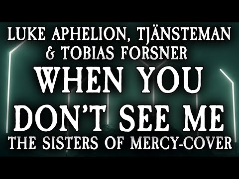 When You Don't See Me (The Sisters of Mercy-cover)