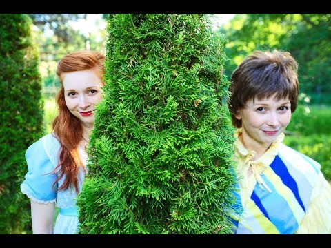 As You Like It - Shakespeare & Company - July 2014