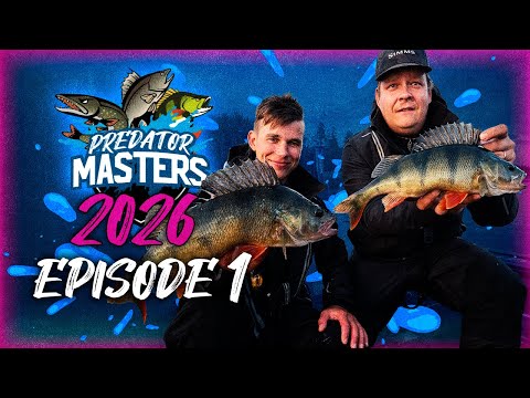 Perch in the shallow water – PredatorMasters 2026 | Episode 1