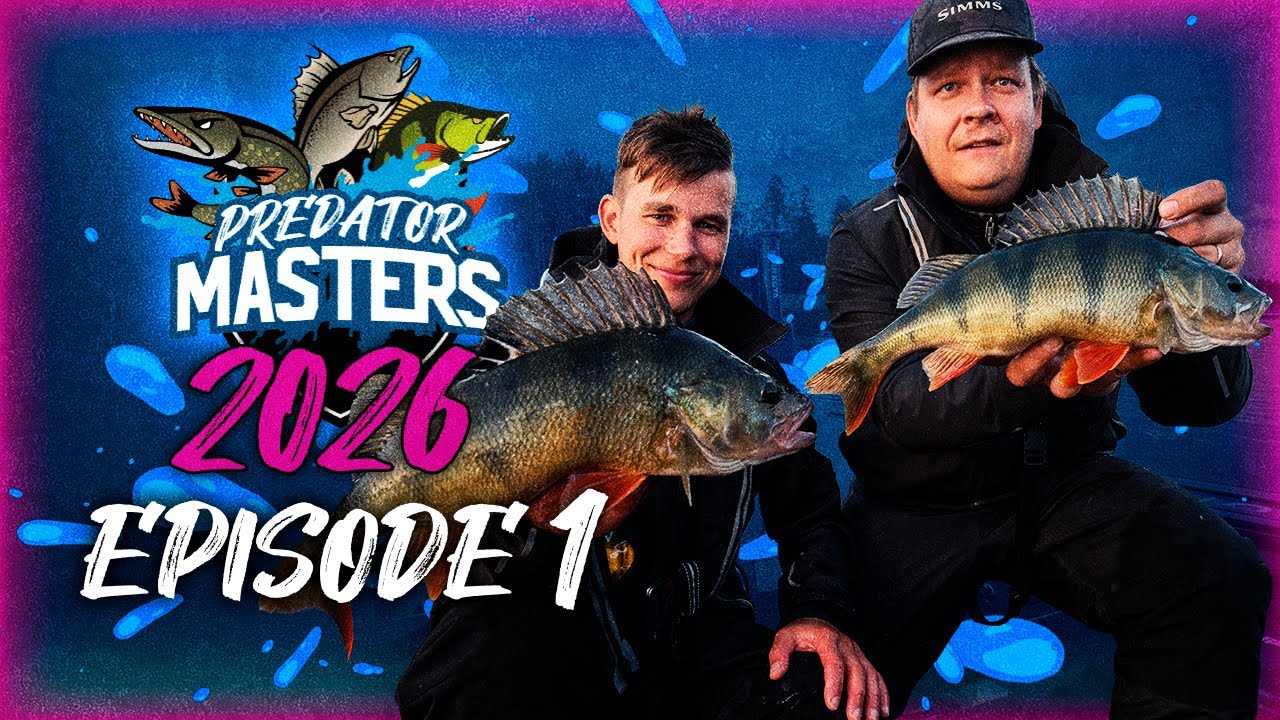 Perch in the shallow water – PredatorMasters 2026 | Episode 1