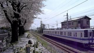 preview picture of video '東武鉄道　桐生線・桐生球場横・桜と８０００系2012-4-15'
