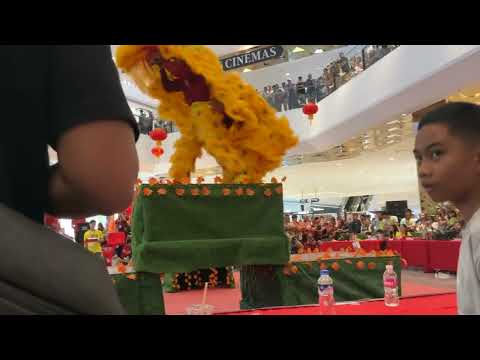 Defending Champion Lion Dance 2026 Part 3