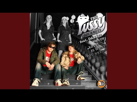 Love Is What You Need (feat. Darryl Pandy) (Original)