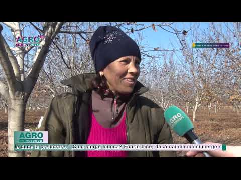 AGRO TV News – Weekly Review November 27, 2021