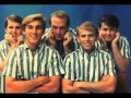 The Beach Boys Don T Worry Baby