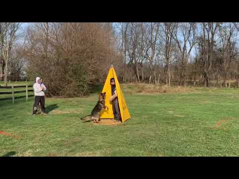 IPO1 Protection Routine; Score: 96V